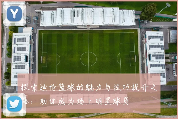 探索迪伦篮球的魅力与技巧提升之路，助你成为场上明星球员