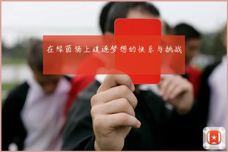 在绿茵场上追逐梦想的快乐与挑战