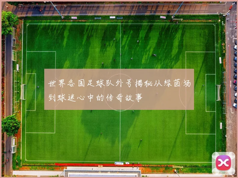 世界各国足球队外号揭秘从绿茵场到球迷心中的传奇故事