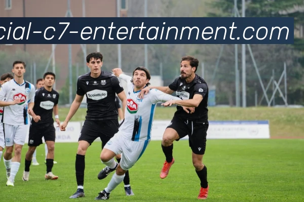 c7娱乐下载平台生态图